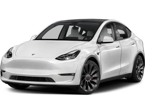 TESLA MODEL Y 2021 5YJYGAED3MF135951 image